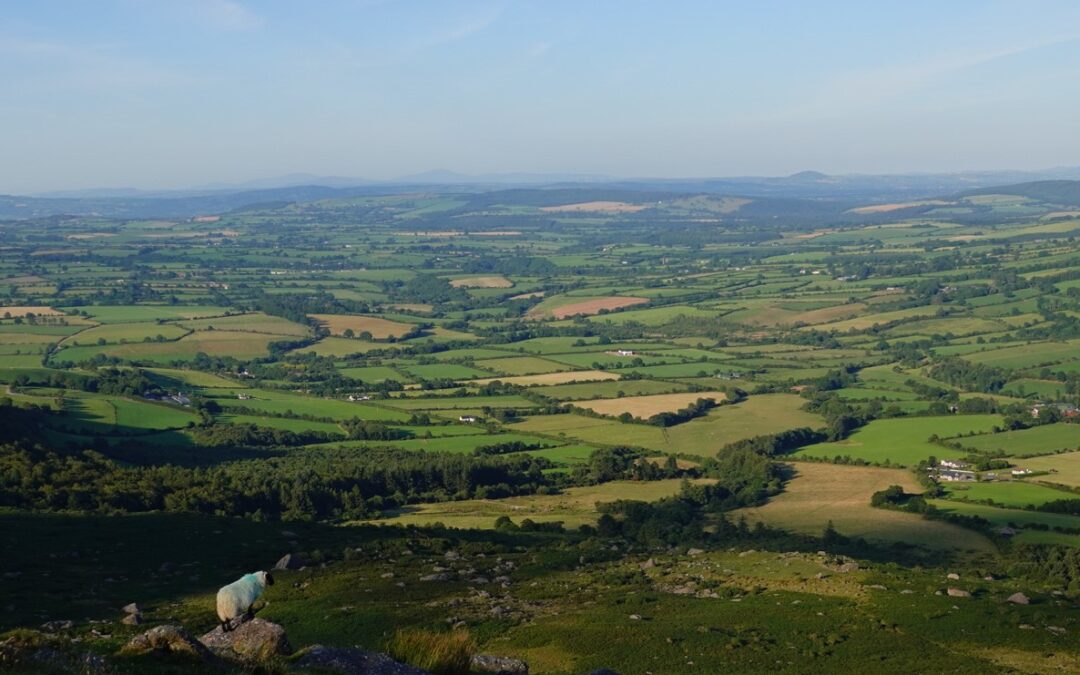 Ceann ón gCartlann: Fís Dhearmadta