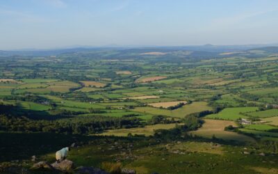 Na déanaimis dearmad ar na laochra