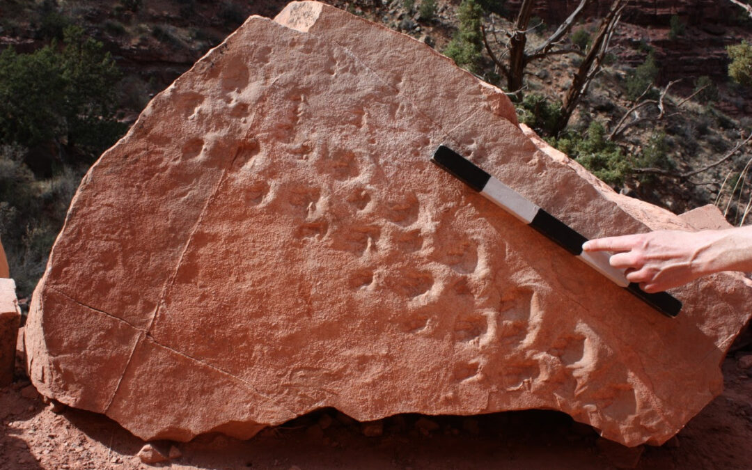 Oilithreacht Bhliantúil chuig an gCainneon Mór – An Fáinne á Chríochnú Againn