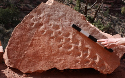 Oilithreacht Bhliantúil chuig an gCainneon Mór – An Fáinne á Chríochnú Againn