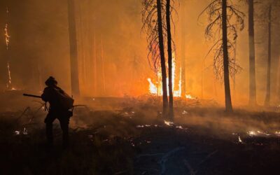 Litir ó Mheiriceá – Caillteanas sa Chainneon Mór